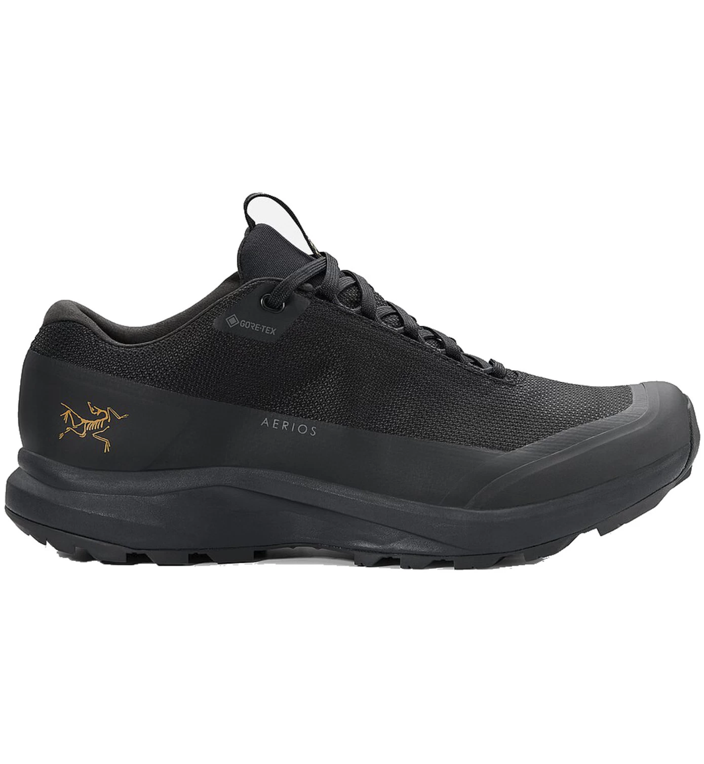 Arc'teryx Aerios Fl 2 GTX - Wanderschuhe - Damen